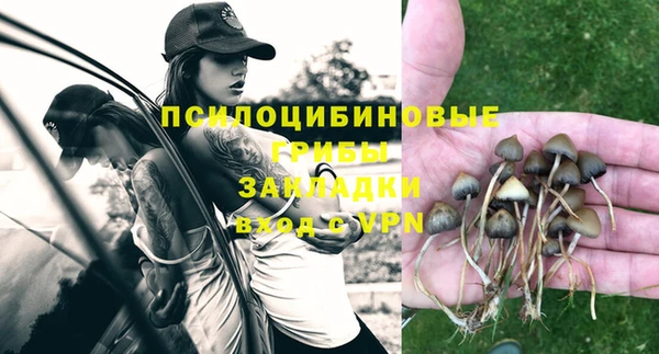 дживик Баксан
