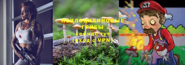 хмурый Балабаново