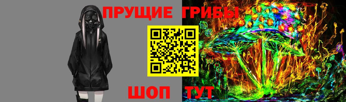 где купить наркоту  Городец  Галлюциногенные грибы Psilocybine cubensis  Галлюциногенные грибы MAGIC MUSHROOMS 