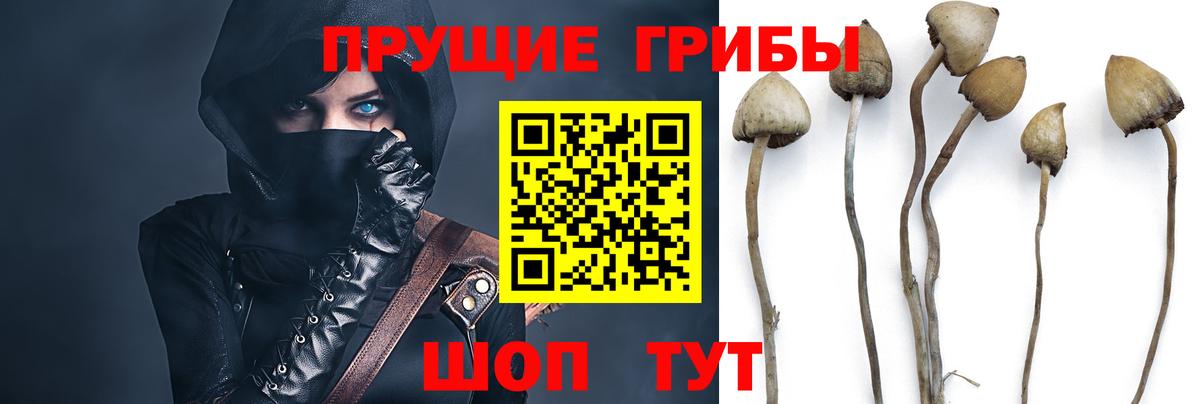 Городец  Псилоцибиновые грибы мицелий  Вход с VPN 